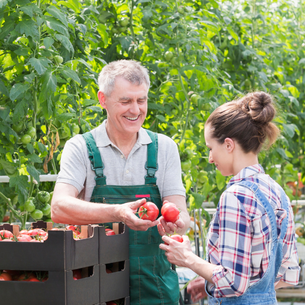 BEGINNING FARMERS AND RANCHERS visual data 6